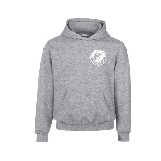 DTV Kids Hoodie hellgrau